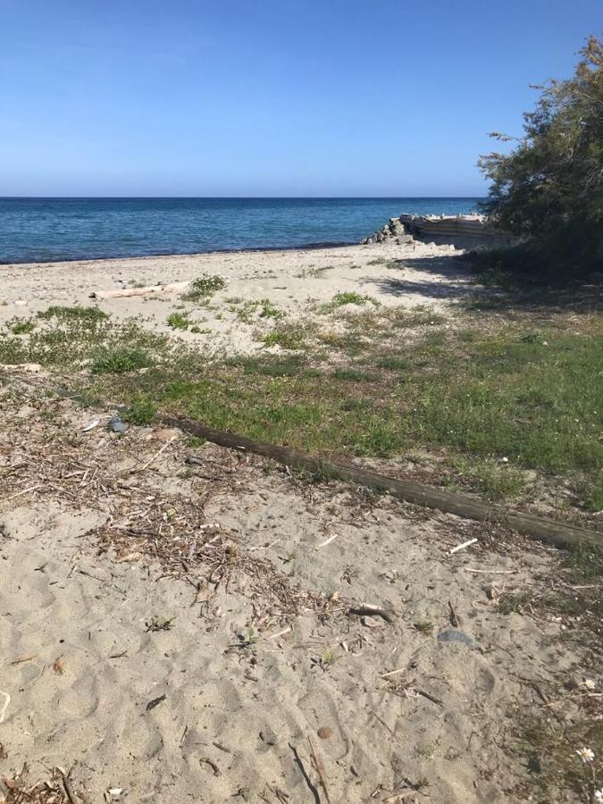 Ferienwohnung Corsica Studio Face A La Mer Moriani Plage San-Nicolao Exterior foto